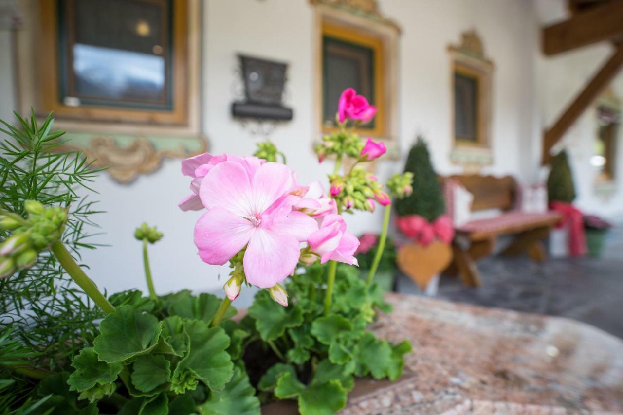 Ferienwohnung Permoser Neustift im Stubaital Exteriör bild